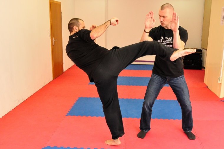Defenses against a high roundhouse kick Obrana od visokog kružnog udarca